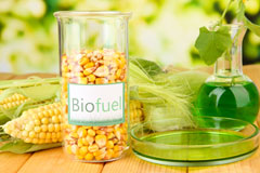 Netherland Green biofuel availability